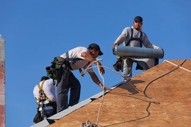 Best Roof Repair Services  in Wautoma, WI